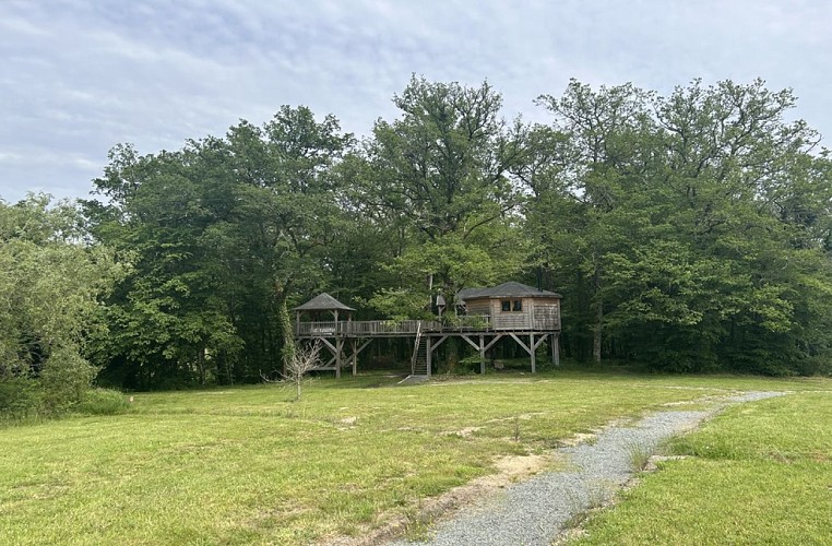 Les loges du temps | Cabane perchée dans les arbres