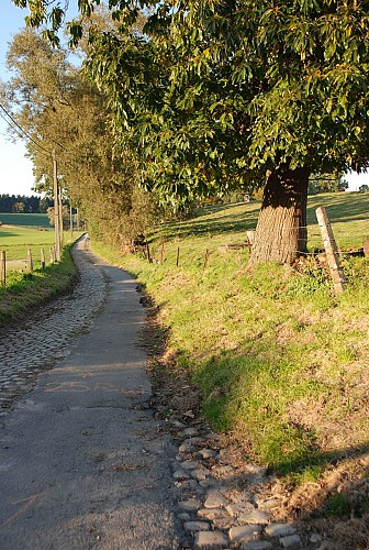 image du object
