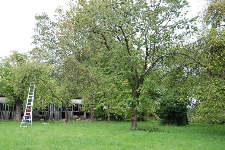 image du object
