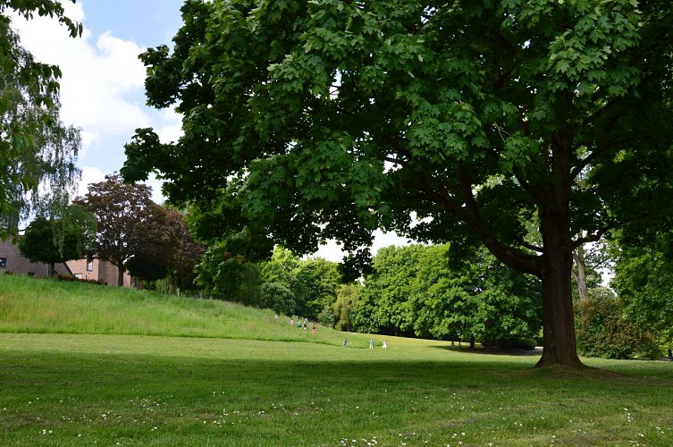 L’amphithéâtre de verdure du quartier des Bruyères