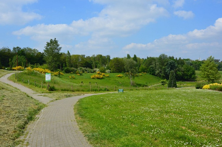 Des zones d’éco-pâturage autour de la Ferme équestre