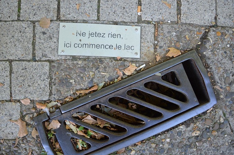 Le lac de Louvain-la-Neuve