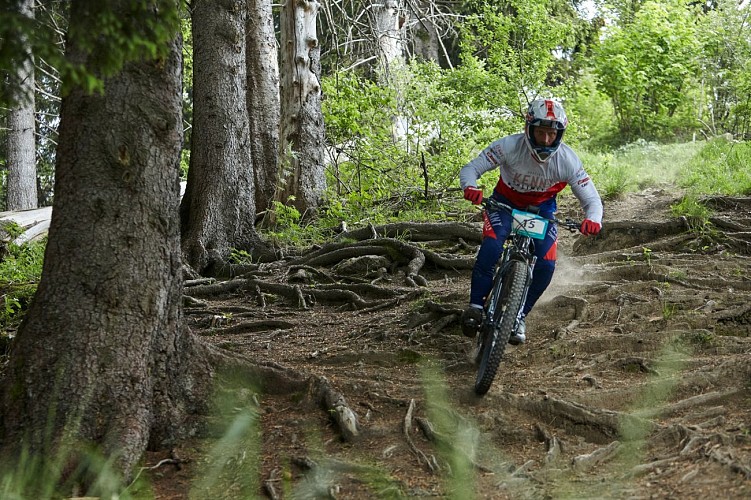 Le Grand Massif en été !