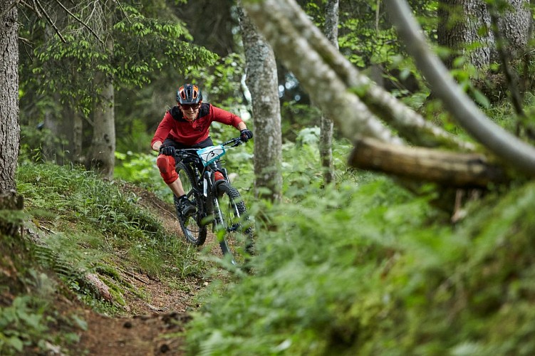 Le Grand Massif en été !