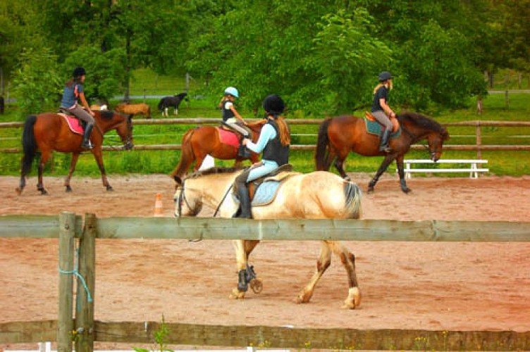 PONEY CLUB LE PICOTIN_1