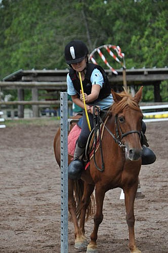 PONEY CLUB LE PICOTIN_2