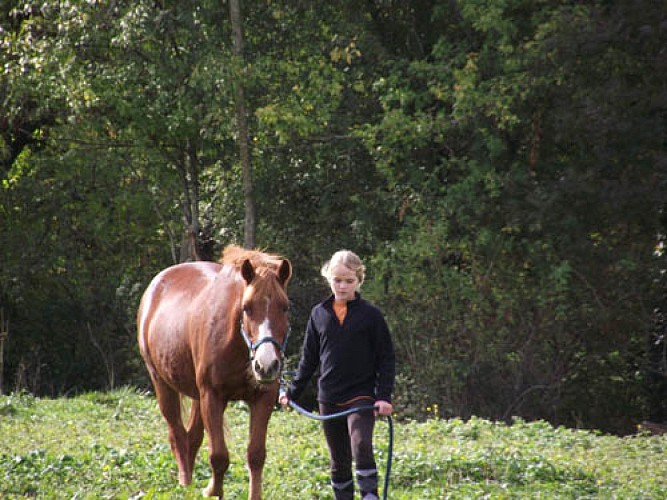 PONEY CLUB LE PICOTIN_4