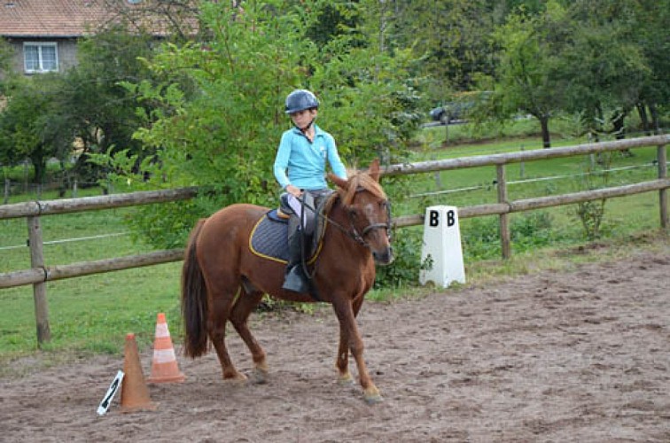 PONEY CLUB LE PICOTIN_5