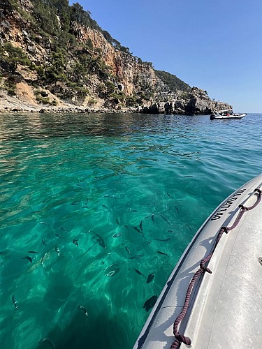Boat rental with the Boat Club de la Madrague