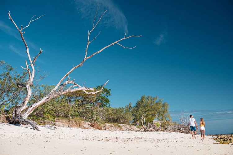 Excursion à l'îlot Signal - Nouméa Double Deckers