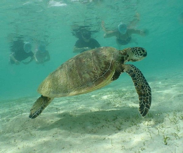 Excursion à l'îlot Signal - Nouméa Double Deckers