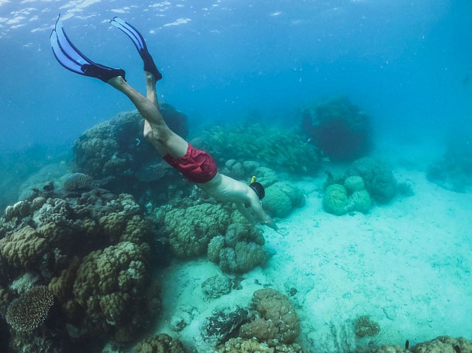 Excursion à l'îlot Signal - Nouméa Double Deckers