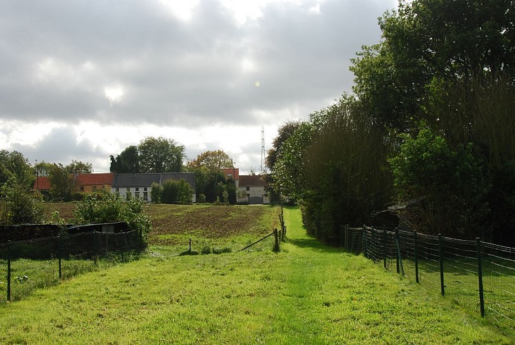 Un jardin en permaculture à la rue du Commerce