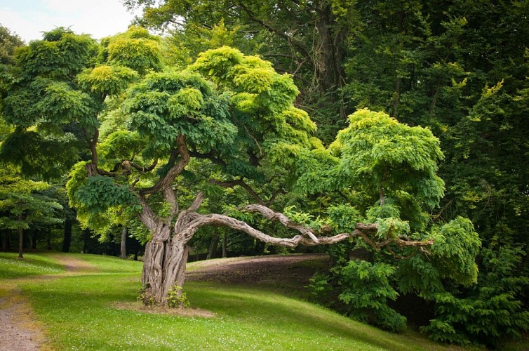 Parc des Buttes Chaumont