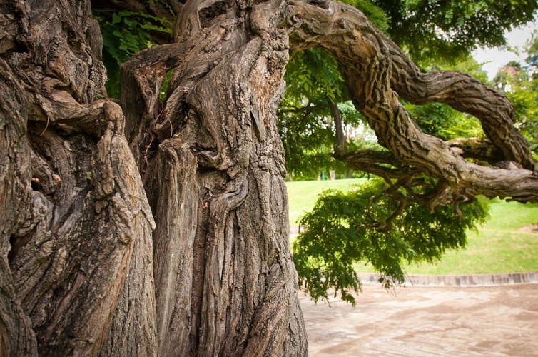 Parc des Buttes Chaumont