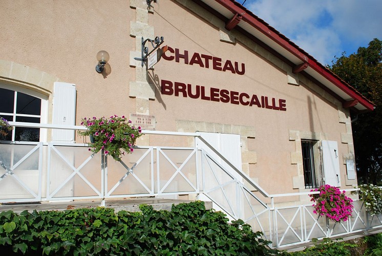 CHATEAU BRULESECAILLE