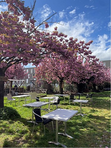 cooperative baraka terrasse