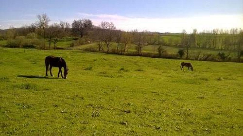 Haras de Peyras Poney Club