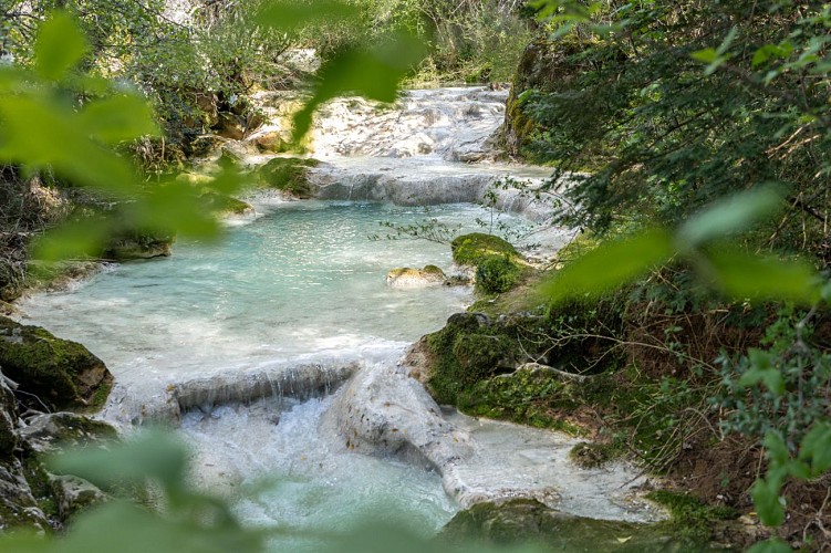 Source et vasques de l'Huveaune