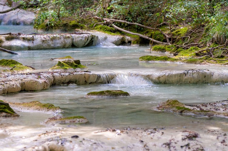 Source et vasques de l'Huveaune