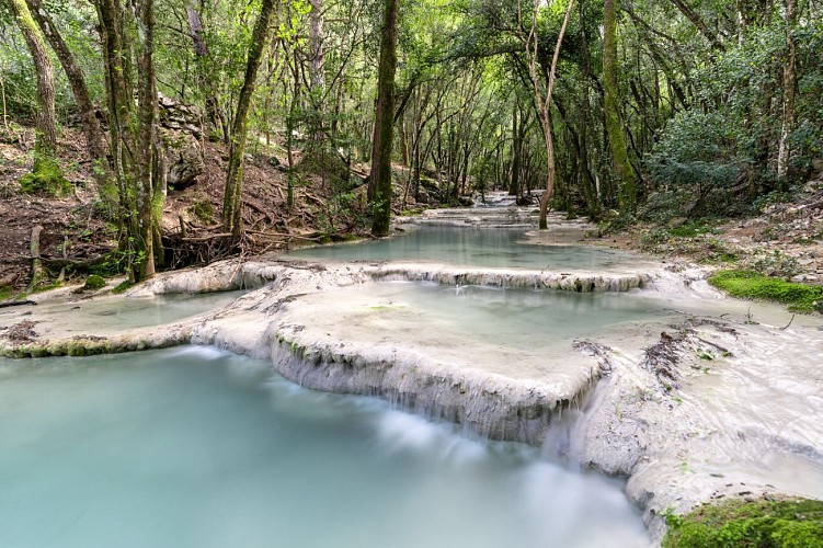 Source et vasques de l'Huveaune