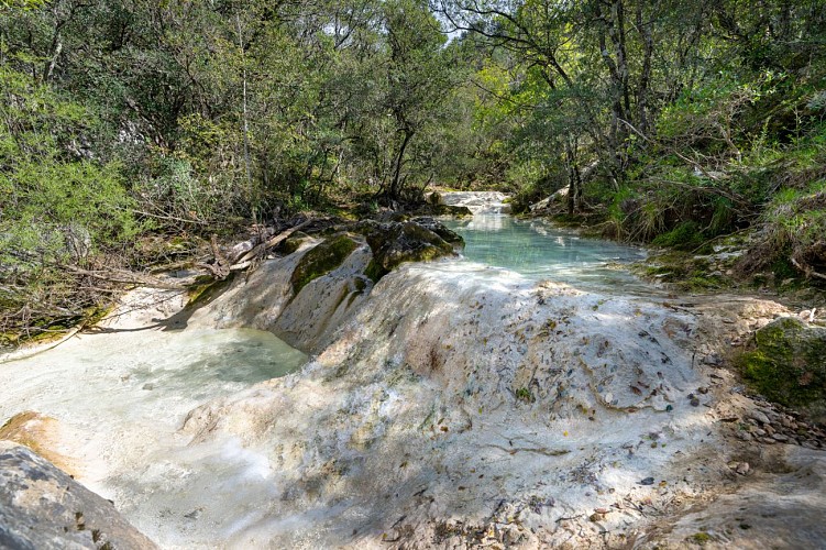 Source et vasques de l'Huveaune