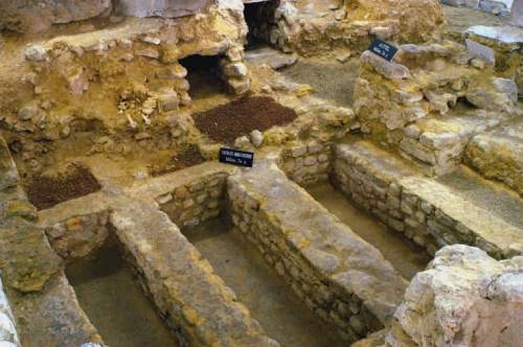 Collégiale Sainte-Gertrude - sous-sol archéologique