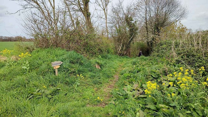 S'engager dans le chemin creux