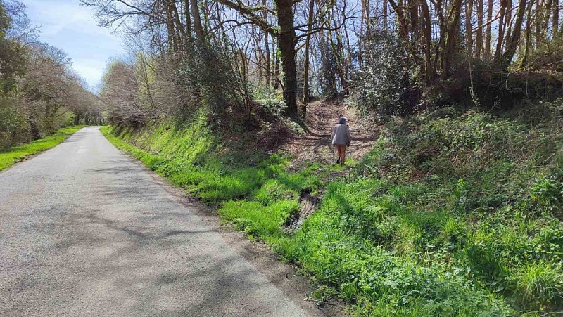 Poursuivre dans le chemin de terre