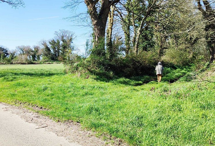 Poursuivre dans le chemin