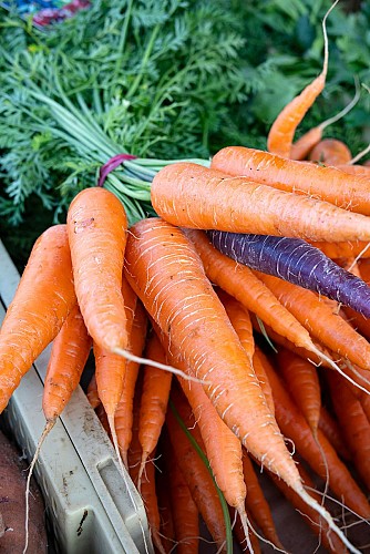 AMAP Le Bonheur est dans le Panier