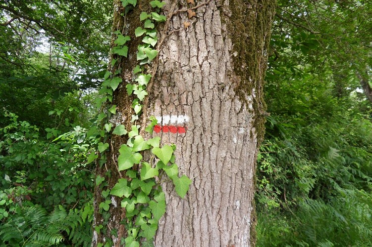 Gîte pèlerin Aroue GR 65