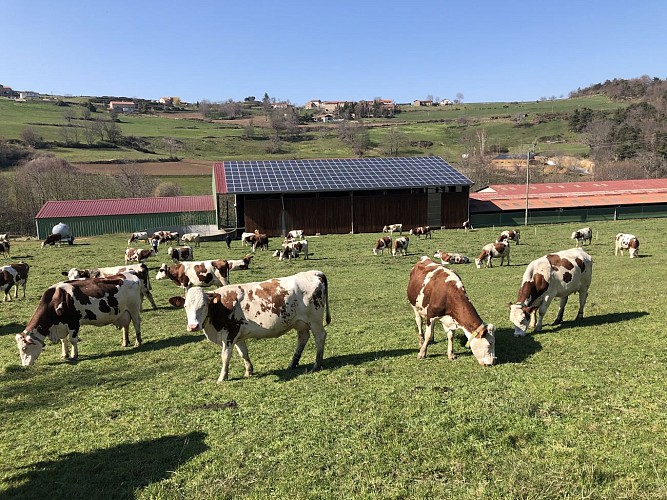 La ferme du Haut Forez- Bauernhofbesichtigung