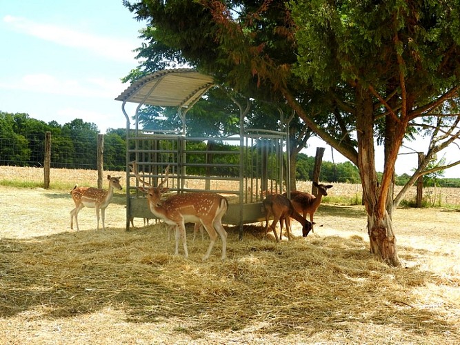 FERME PÉDAGOGIQUE DU GRAND COLONGE_3