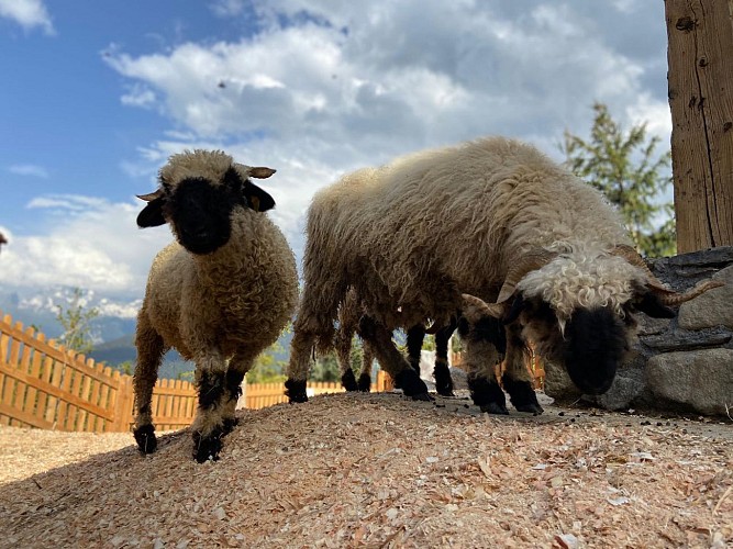 Le Refuge de la Traye