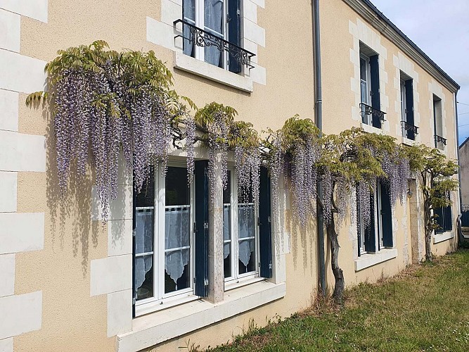 chambre-des-chateaux-glycine-1