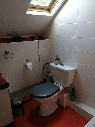 Wc dans la salle de douche