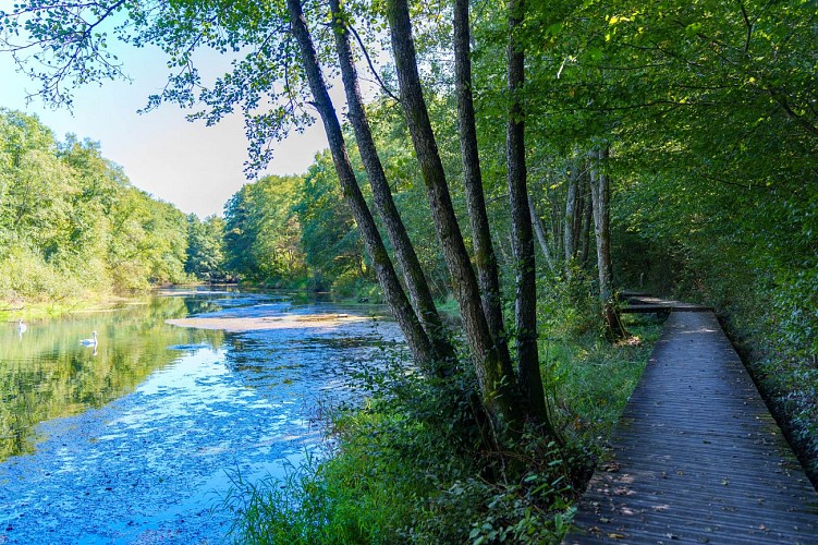 Le sentier de la Reigne