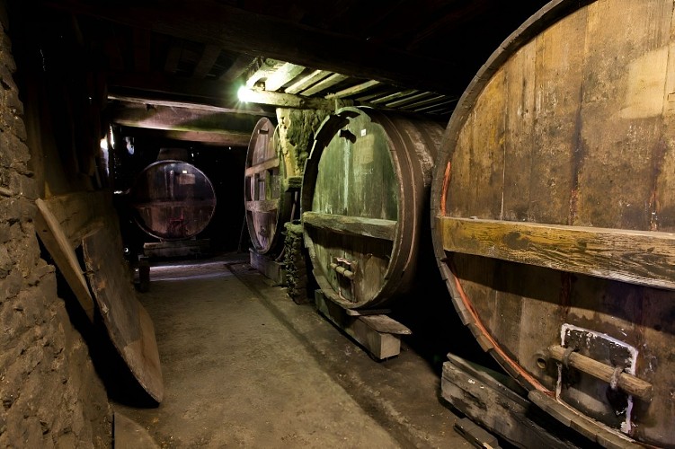 IMG_0943 (3) Cave cidres à distiller F. Grandval r