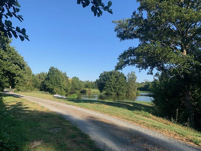 Gite ancteville saint sauveur village Flot kelly jersey (2)