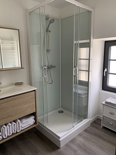 Gite ancteville saint sauveur village Flot kelly jersey (4)