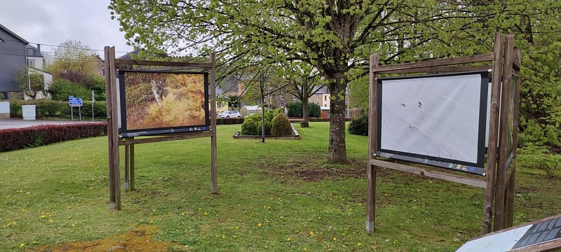 "De wolf" - C. Esmieu