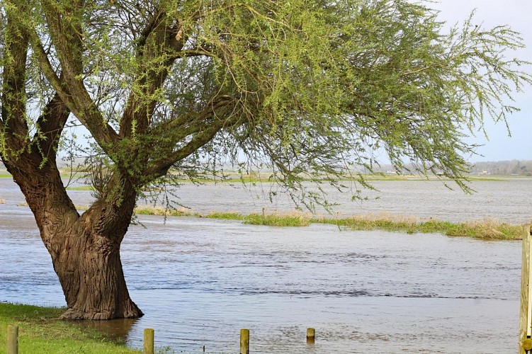 Gîtes de France G1151 : Longuerac