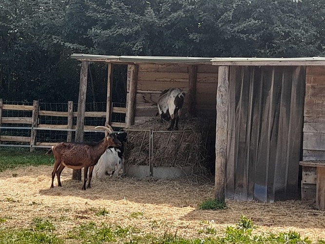 Le sanctuaire des poids plumes