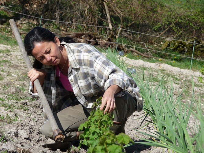 Maitre confiturier Monique Decanali