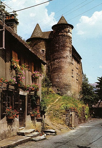 Château fort de Vieillevie