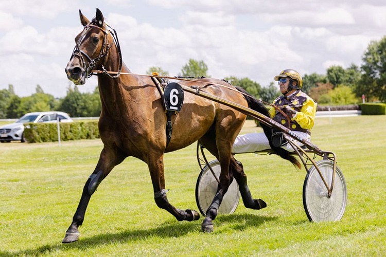2025_07_20_Hippodrome_de_la_Roche_Posay-7