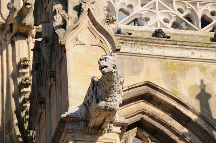 Gargouille Eglise Ste-Foy, Conches en Ouche © Eure Tourisme, P. Riglet