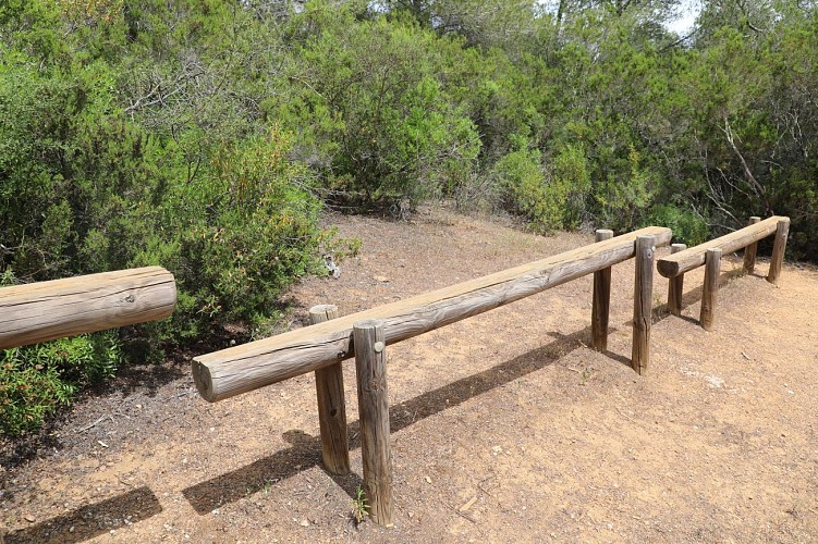 Parcours de santé