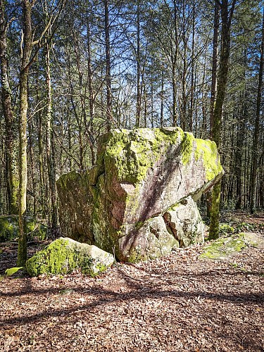 20240313_130639©OT Tulle en Corrèze